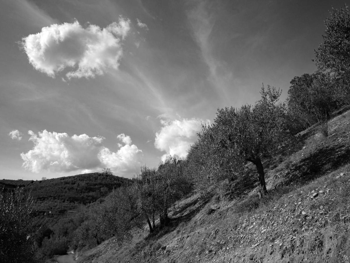 Agriturismo Il Casaletto Montefranco エクステリア 写真