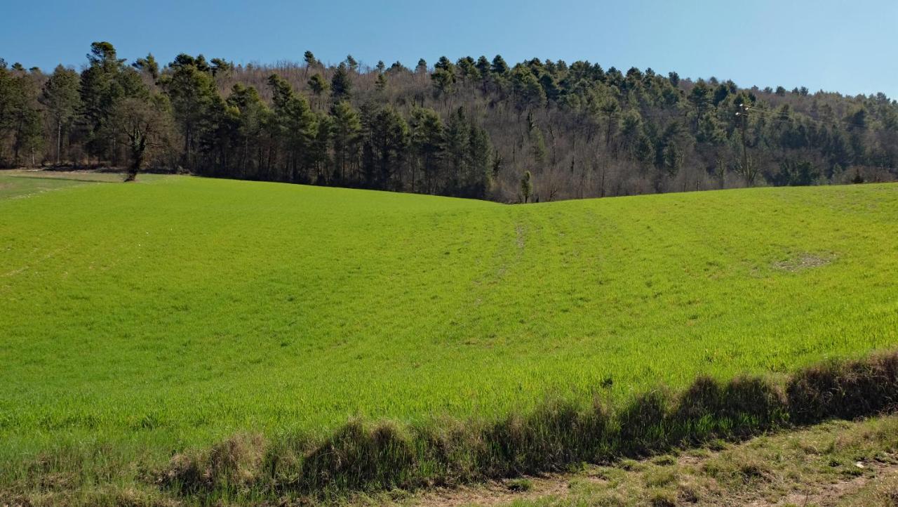 Agriturismo Il Casaletto Montefranco エクステリア 写真