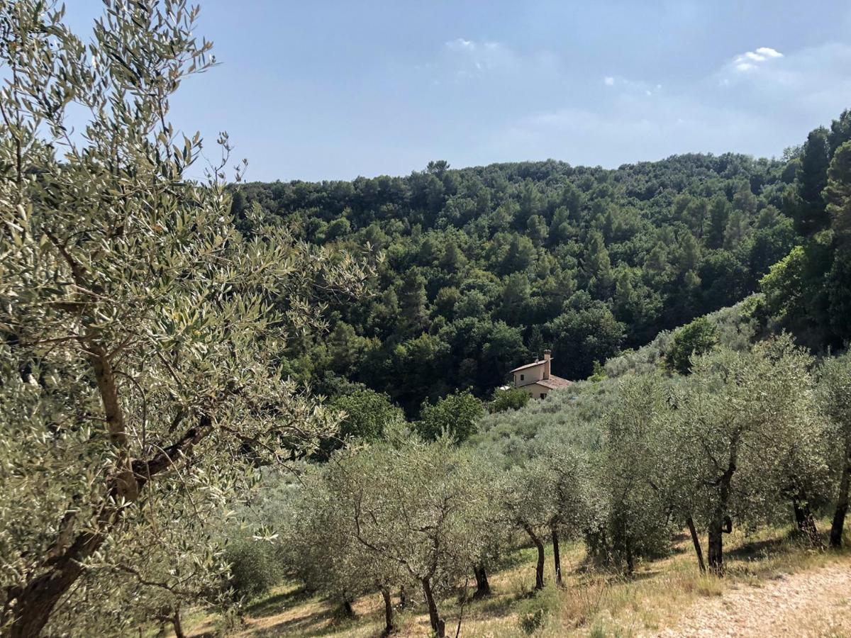 Agriturismo Il Casaletto Montefranco エクステリア 写真