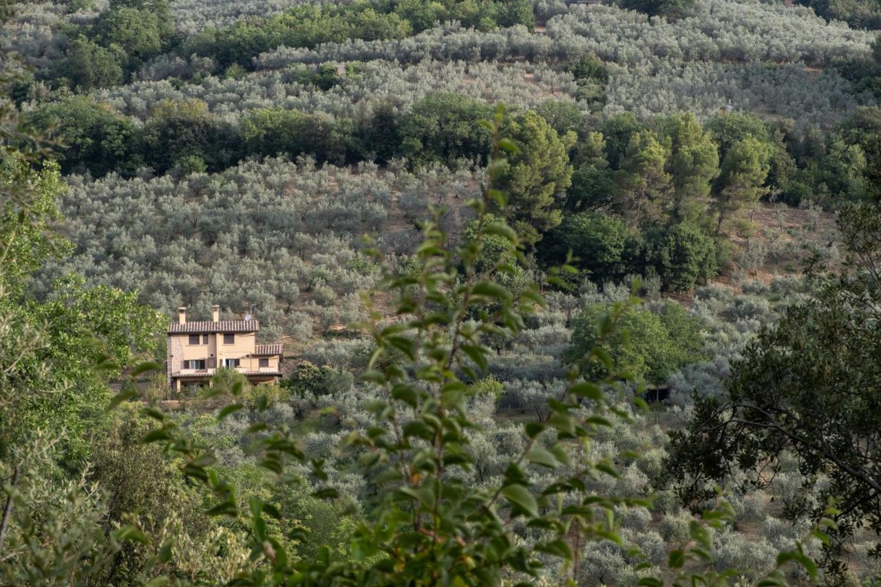 Agriturismo Il Casaletto Montefranco エクステリア 写真