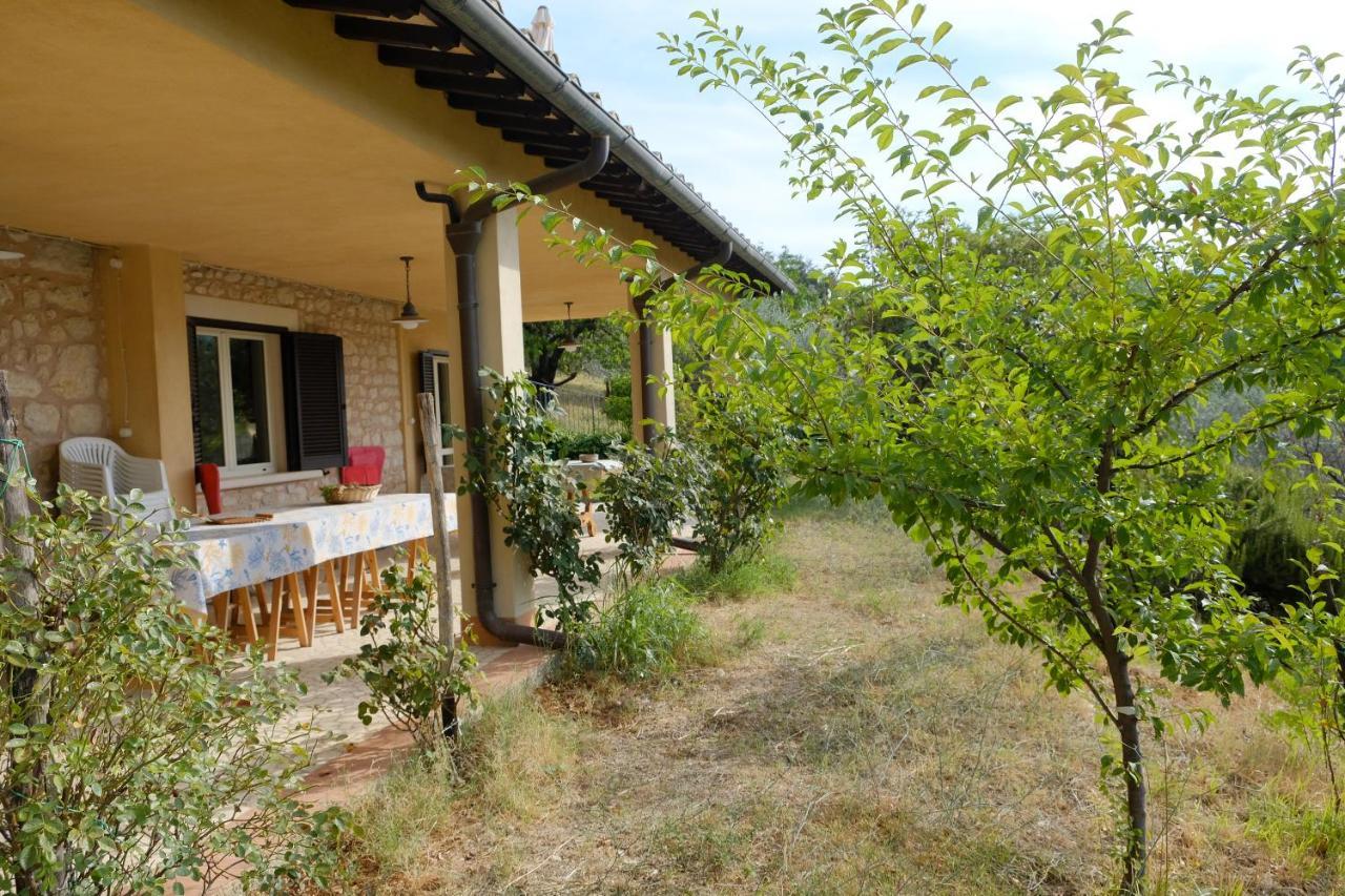 Agriturismo Il Casaletto Montefranco エクステリア 写真