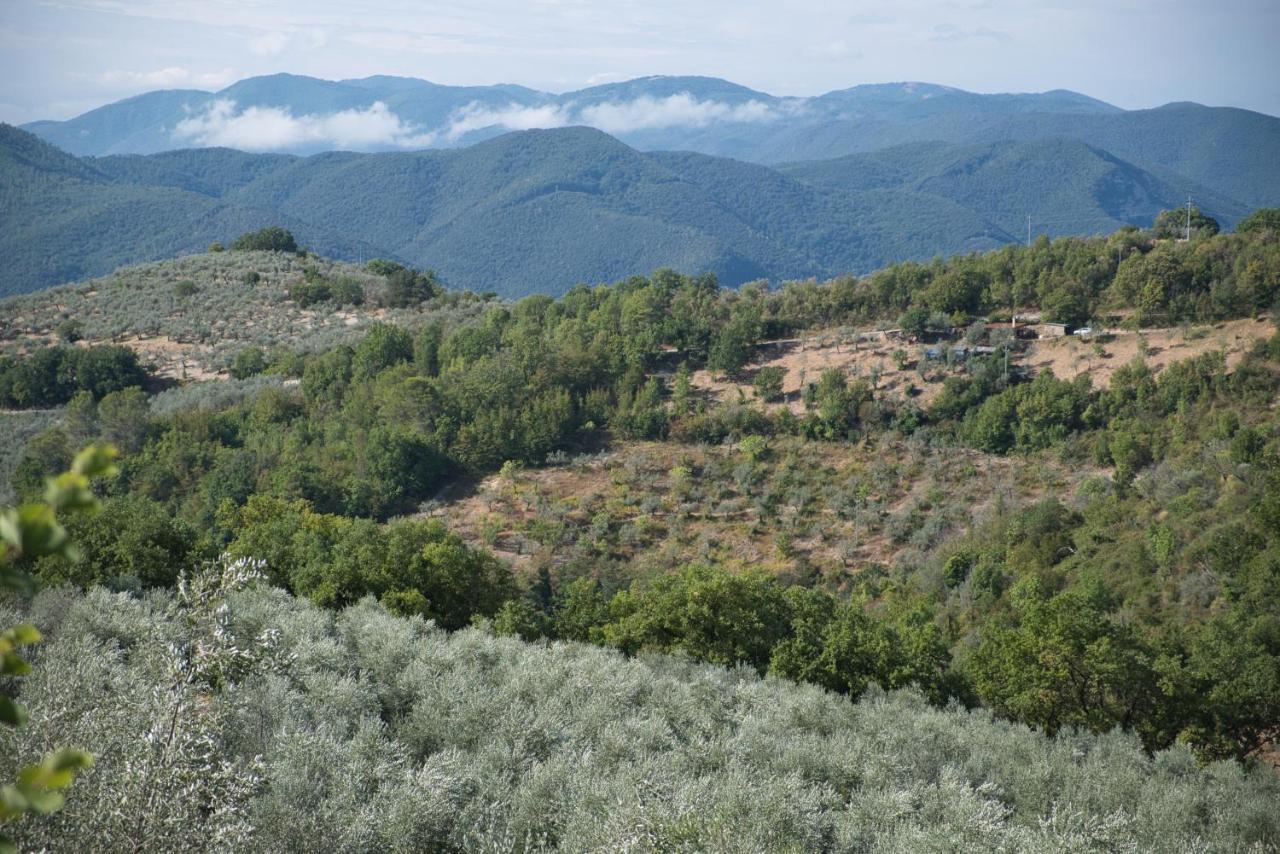 Agriturismo Il Casaletto Montefranco エクステリア 写真