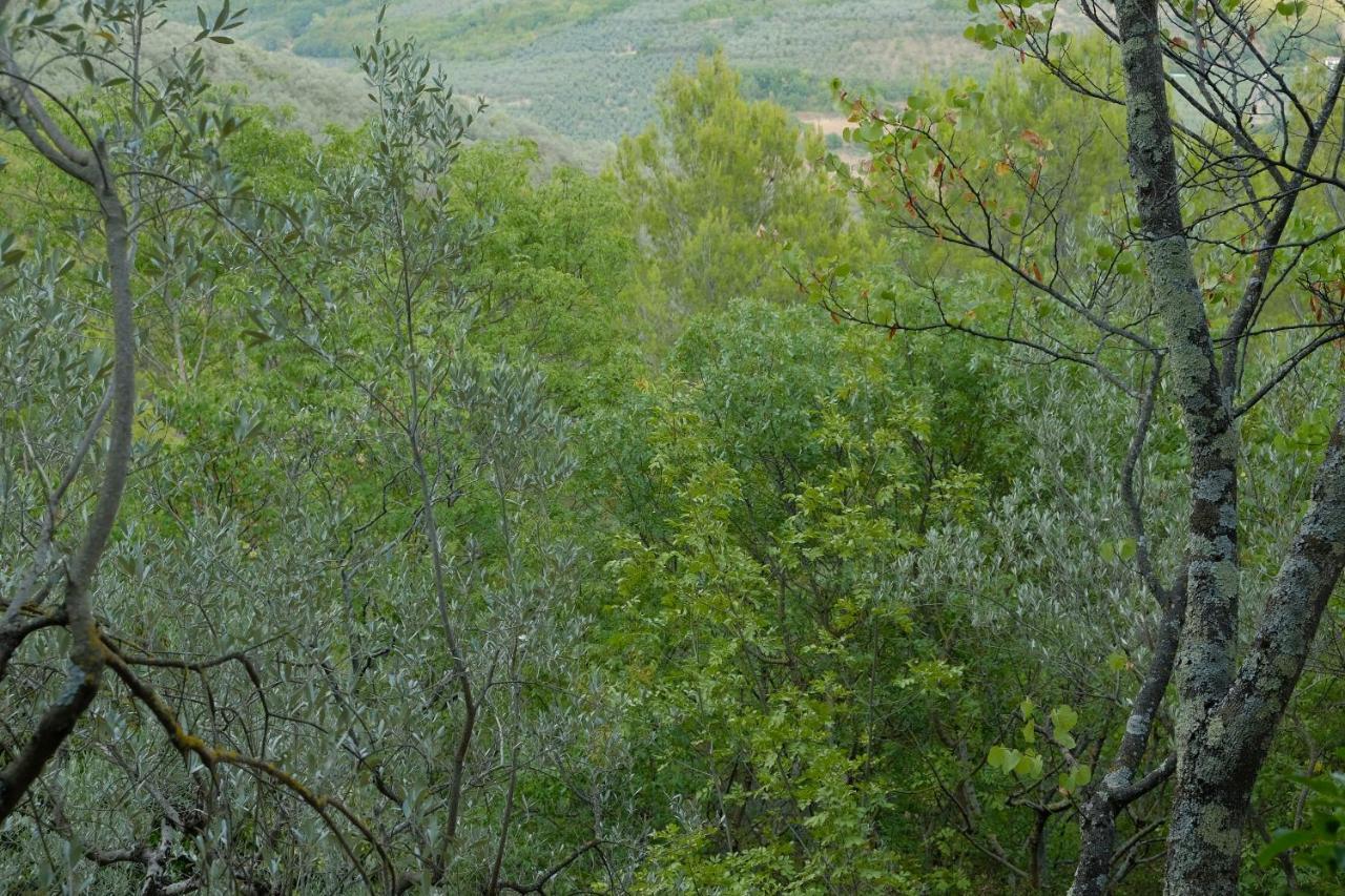 Agriturismo Il Casaletto Montefranco エクステリア 写真