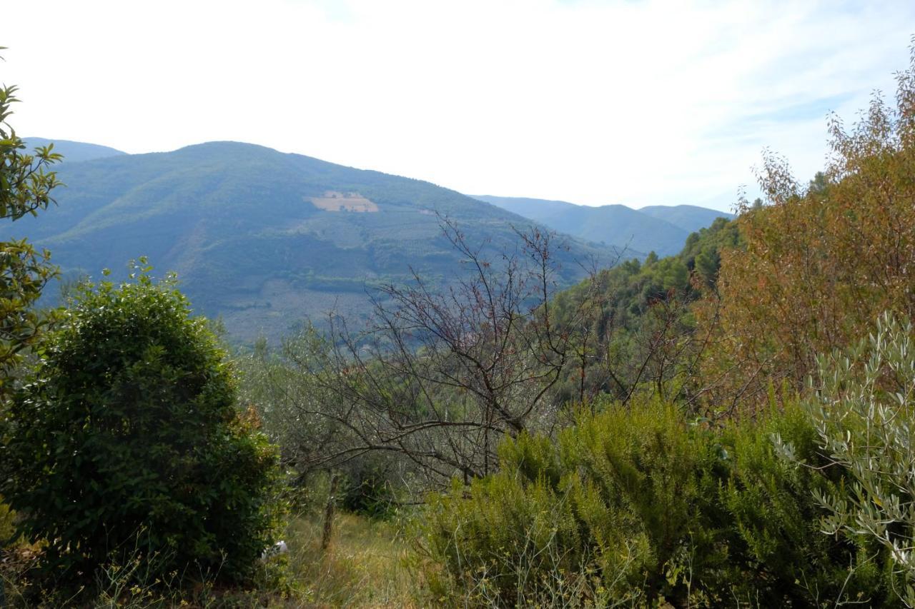 Agriturismo Il Casaletto Montefranco エクステリア 写真